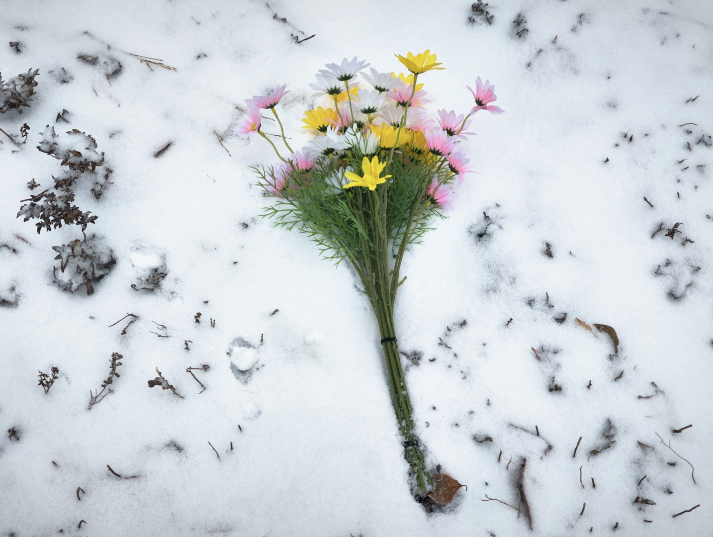 无雪的冬至